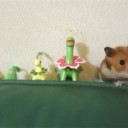 祝！！ソウルシルバー・ハートゴールド発売！！