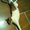ですからー
