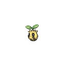 ポケモン金プレイ日記　第7話　コロコロ？それおいしいの？
