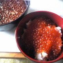 今日のお昼ご飯