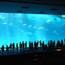沖縄)新婚旅行二日目