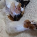 まいった、こりゃ