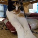 まいった、こりゃ