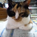 まいった、こりゃ