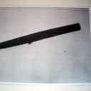 「命の生き残り方法」