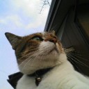 お出掛けの火曜