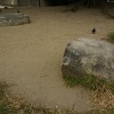 西寺跡　　侘びしさ、賑わい
