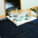 よる