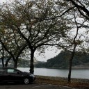 自分の翼　my own car