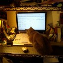 巨大なハリセンがあったらやりたい１０の衝動　“VIP猫の日常”　の巻