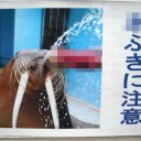 〇ふき注意。