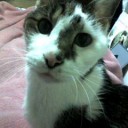 すきものこその腐れ上手