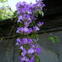 天国の日記　その６