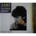 核 CORE