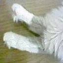 演奏台の・・・
