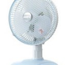 扇風機を愛する週間