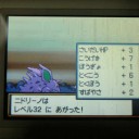 ジョウト地方探検記　六日目