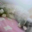 “結構、かわいかったのね～(笑)”・・・