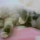 “結構、かわいかったのね～(笑)”・・・