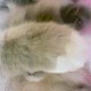 “結構、かわいかったのね～(笑)”・・・
