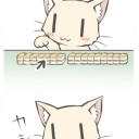 プレリ行ってきた