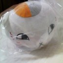 もっふもふのぬっこぬこ