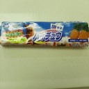 日記