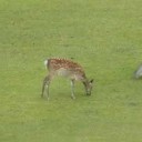 日曜日◆旅−5 おまけ