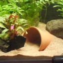 まだバケツの中