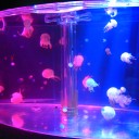 アクアリウム　Sky AquariumⅢ（天空の水族館）ぎろっぽん