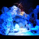 アクアリウム　Sky AquariumⅢ（天空の水族館）ぎろっぽん