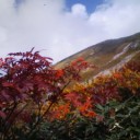のんびり登山。