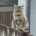 衝撃的な街
