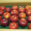 紅玉　届く！