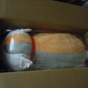 ようやく届いた!!!