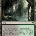 フェッチランドの値段