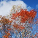 10/12 月・晴れ：帰宅