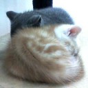 ふらたにてぃ≒Flat eternity