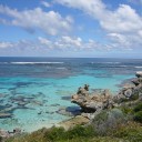 パース旅行記～その２：Rottnest Island～