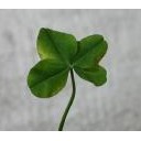 孫と遊んだ楽しい一日