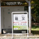 二日目、トロッコ電車