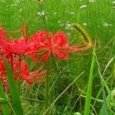 この変わり様ときたら・・・