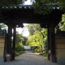 奈良・古寺探訪　法華寺・新薬師寺・元興寺・秋篠寺