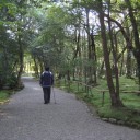 奈良・古寺探訪　法華寺・新薬師寺・元興寺・秋篠寺
