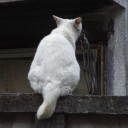 板橋宿あたり