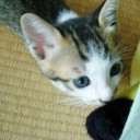 ここ２，３日忙しかったです。