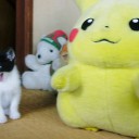 今日は、真冬のような寒さです。