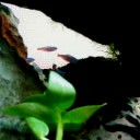 冬のアクア対策