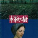 ほぼ治った