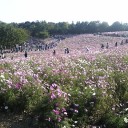 立川)昭和記念公園